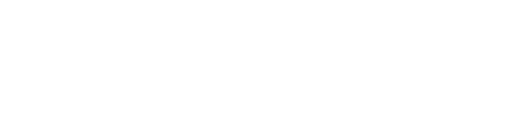 Darkglass Vintage Deluxe v3 | Bass Buddha