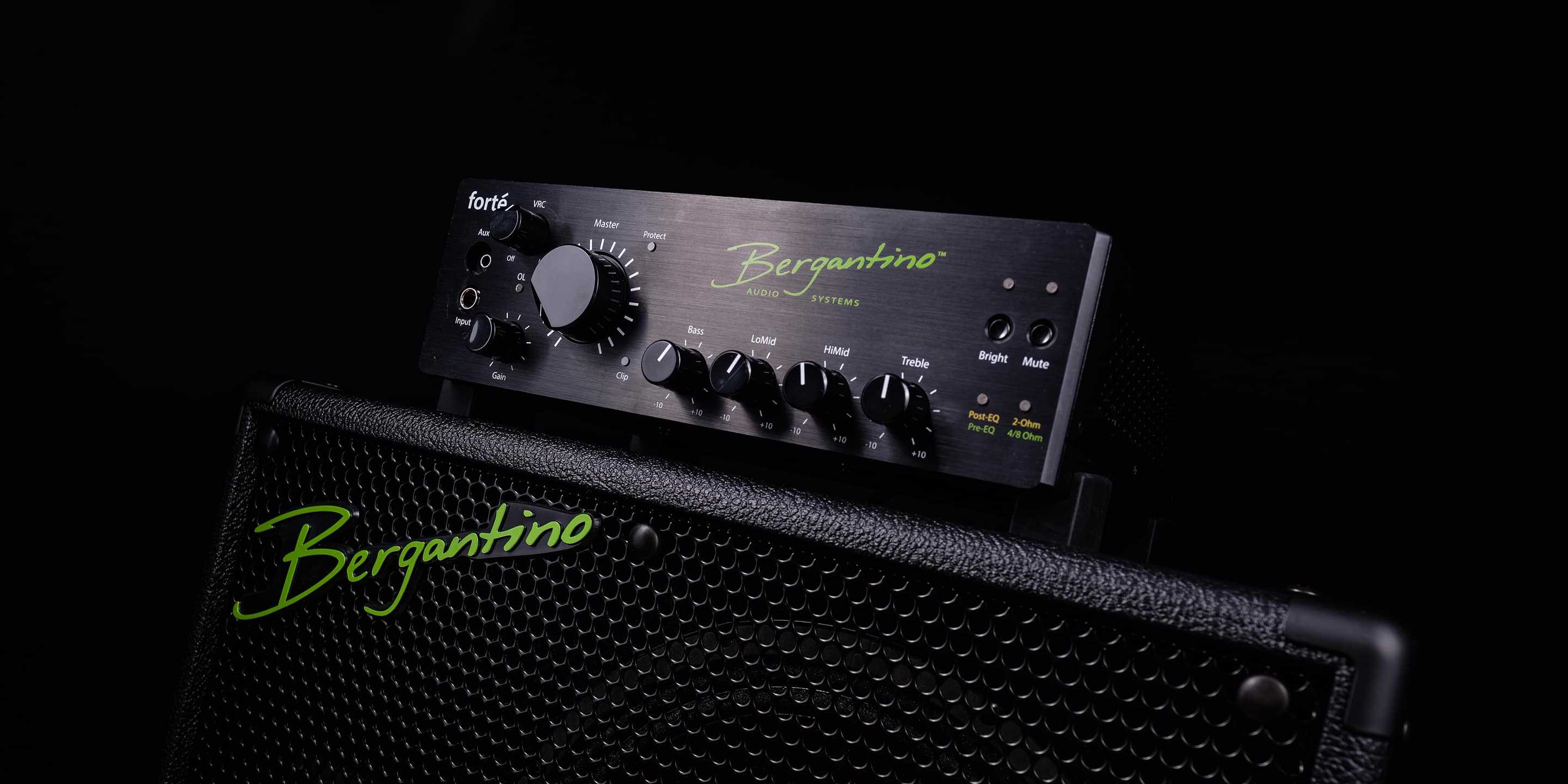 Bergantino Forte Bass Amp