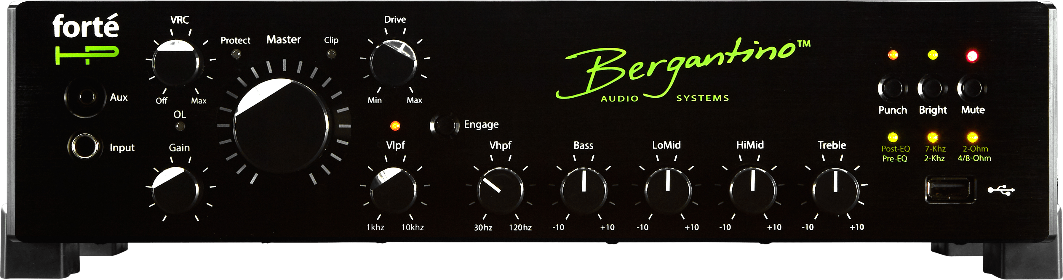 Bergantino Forté Bass Class-D Amplifier | Bass Buddha