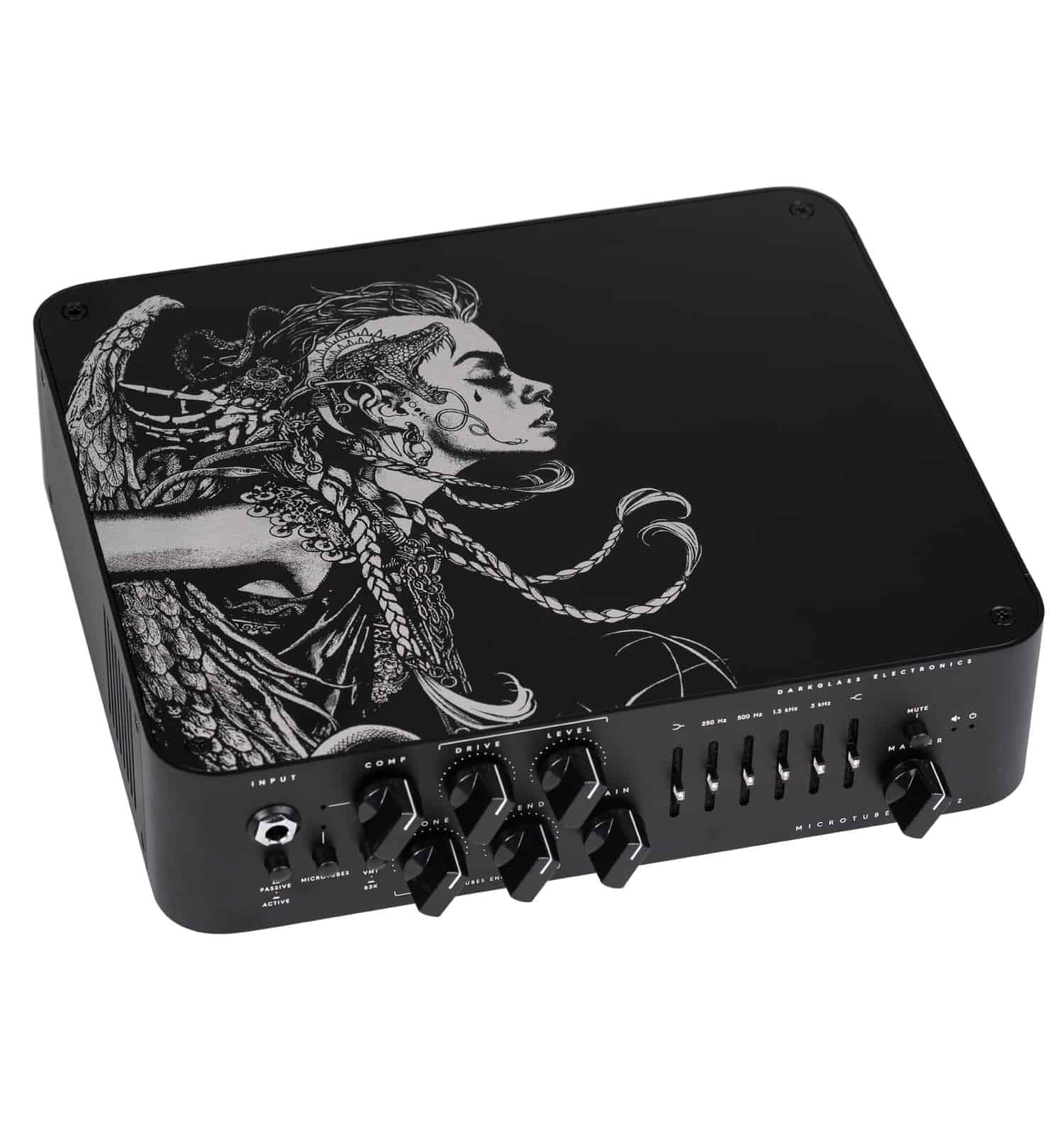 Darkglass Microtubes v2 Euryale-Angle bass amp